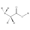 Amino acid complex - Keto Black Composition